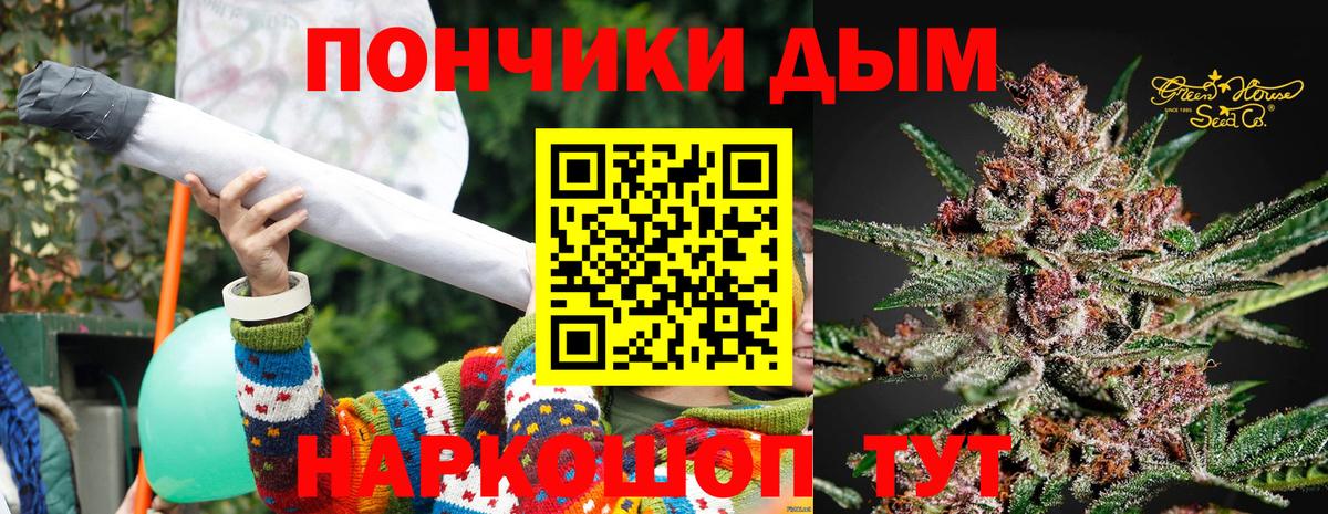 Чернушка  Каннабис планчик  Шишки марихуана планчик  Вход с VPN 